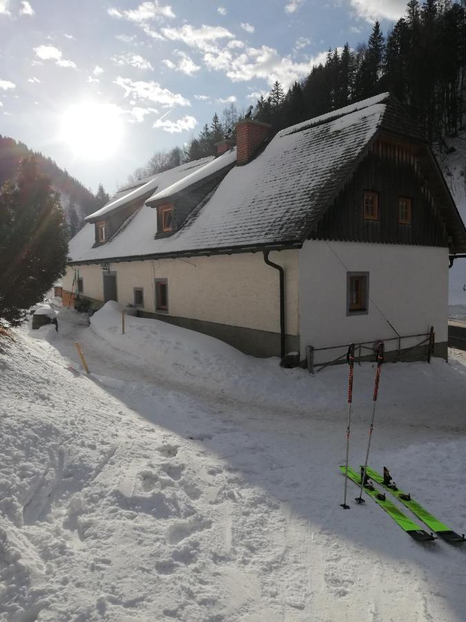 Zickerreith Almhutte Hostel Rosenau am Hengstpass Exterior photo